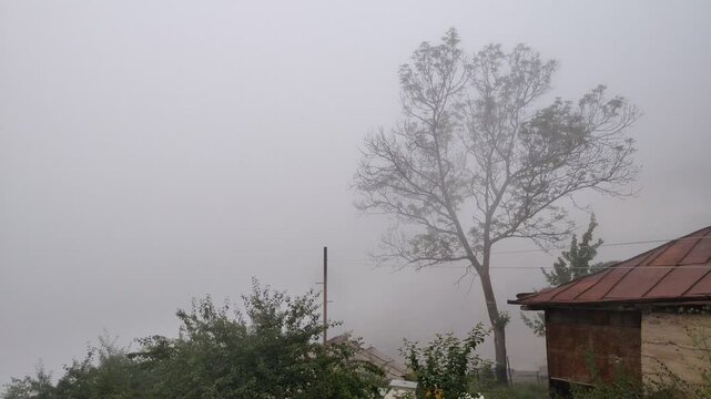Thick fog and clouds rolling over a mountain village and forest. Beautiful view of the mountains in the morning. Fog covered the houses of the village. Green forests and fields and white fog.
