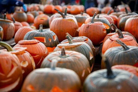 Rows of carved jack-o'-lantern pumpkins at an outdoor autumn market during sunset - Halloween pumpkin patch harvest festival scene.