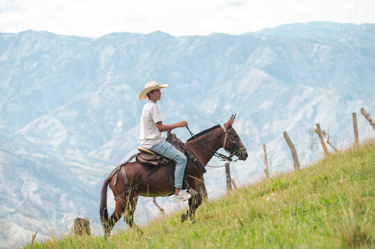 Young farmer riding mule on mountain pastureland