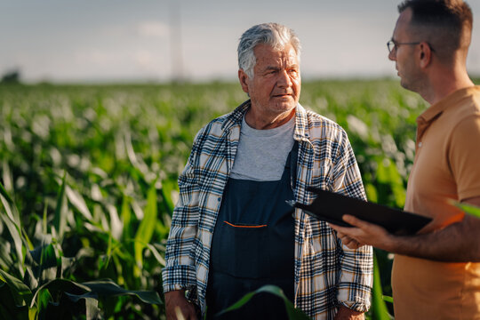 Farmers discussing crops in corn field at sunset