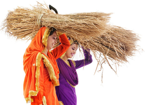 Sikh women carrying bales of hay 