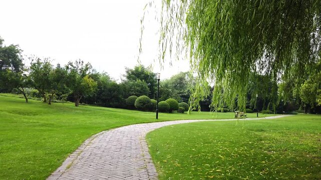 A winding paved path cuts through a lush green park, lined with willow trees and well-maintained lawns, forming a tranquil outdoor scene.