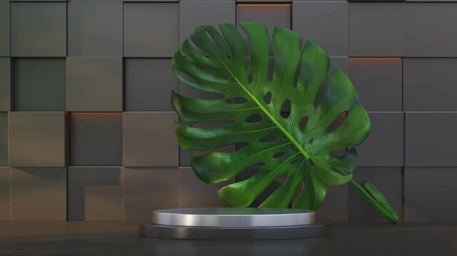 Minimalist circular display podium with green monstera leaf against dark abstract block wall background.