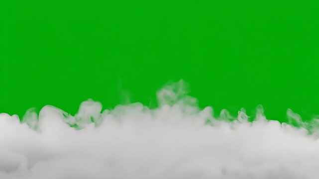 White smoke effect rolling on green screen fog gas steam concept. White smoke or fog on vibrant green background with soft texture and abstract atmospheric effect