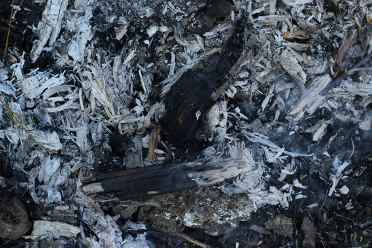burned wood, ashes and smoke