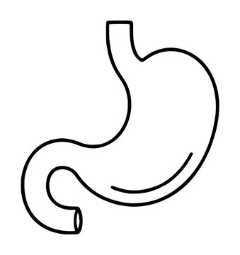 Hand-traced vector icon of a stomach with duodenum organ outline, simple anatomical illustration for medical and healthcare design projects, clean linework graphic