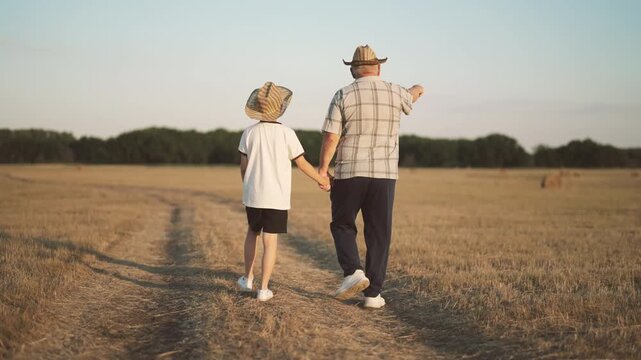 Happy old farmer and little grandson admiring walking together in wheat fields. Beautiful rural landscape, grandpa and child strolling on path between growing cereals ears of wheat or rye, back view