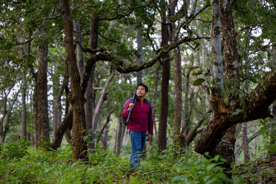 Asian hiker is caring camera gear while exploring in the cloud forest for surveying and discovering the rare biological diversity and ecologist on the field study