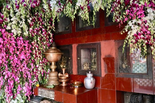 インド　ダージリン　チベット寺院の祭壇
