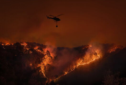 El Nino climate event dries regions and increases wildfire risk