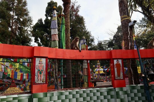 インド　ダージリン　チベット寺院