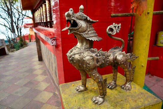 インド　ダージリン　チベット寺院　狛犬