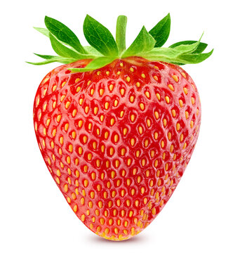 One ripe strawberry for packaging. Fresh red berry isolated on white background with clipping path