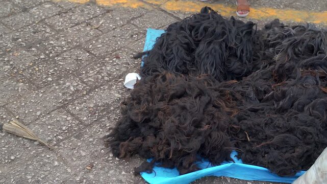 Static close up shot of raw black and dark brown sheep wool fleece displayed on a blue tarp at a traditional market in San Juan Chamula, Chiapas, Mexico.