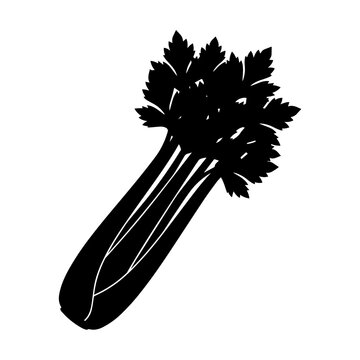 Black silhouette of a fresh bunch of celery stalks with leafy tops, isolated on a clean white background