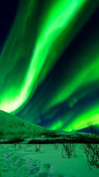 Aurora Borealis illuminating the night sky above snow-covered mountains near Troms&oslash;, Norway. Natural polar light display beneath a star-filled sky, vertical time-lapse