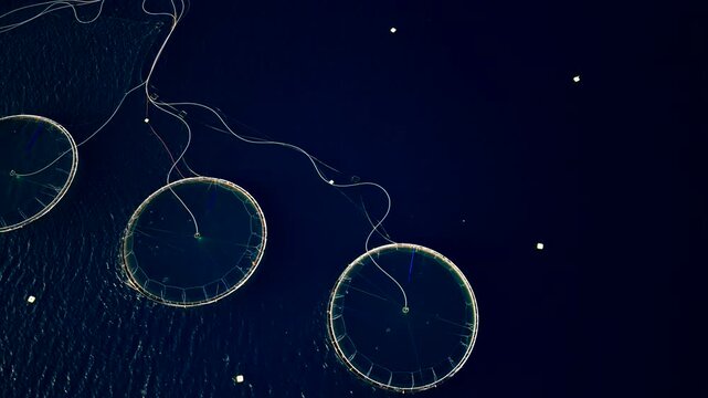 Overhead drone textured backdrop of circular salmon pens in dark Arctic water at Ringvassoya, drone overview of cable pipes leading to rings
