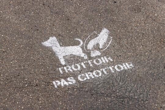 Nancy, France. Street pavement stencil reading Trottoir pas crottoir reminding owners to pick up dog waste for cleaner sidewalks.