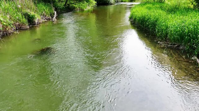 Ripples on Downstream II B