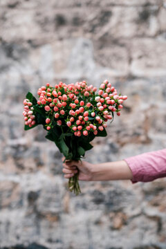 Woman holding bunch of Hypericum flowers in front of wall