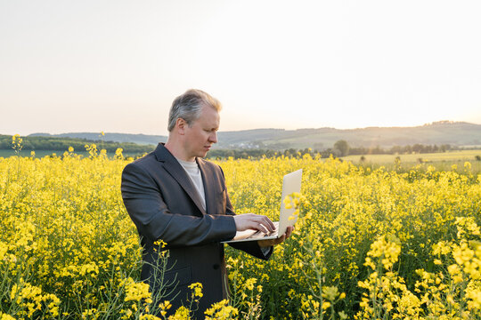 Businessman using laptop in yellow rapeseed field at sunset