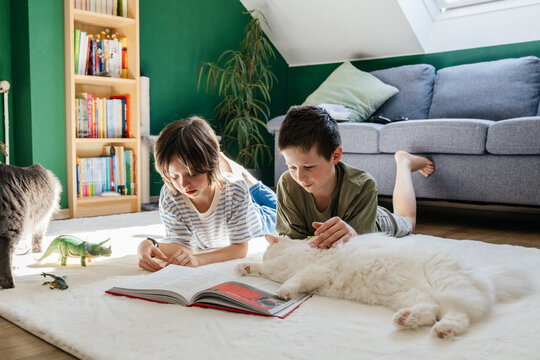 Brothers read a book and pet a cat on the living room floor