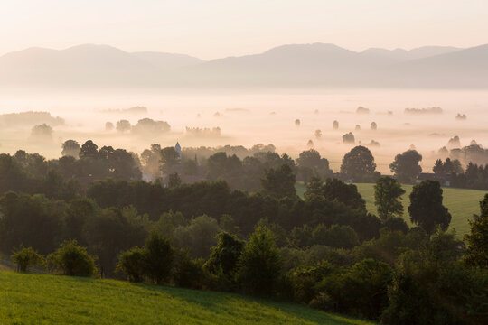 Germany, Bavaria, View of Murnauer Moos with fog at sunrise
