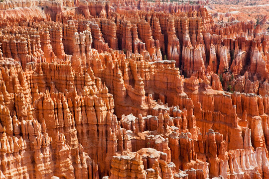 USA, Utah, Bryce Canyon National Park