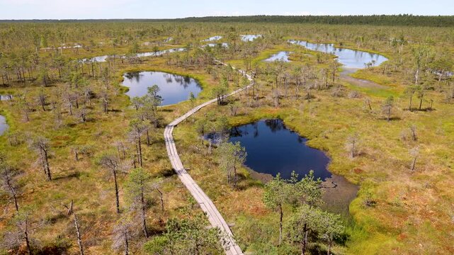 Boardwalk and bog pools seen across Kemeri Bog area of Kemeri National Park, Latvia