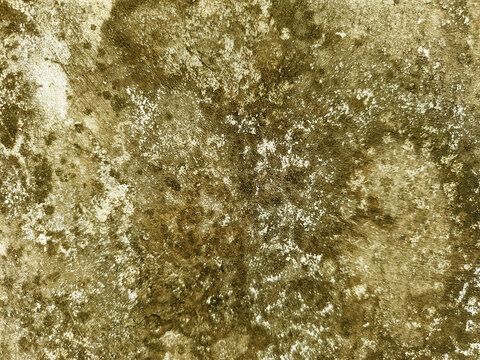 A weathered concrete surface covered with dense moss growth and rough textures.