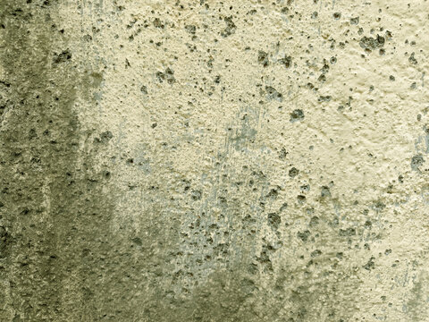 A weathered concrete surface covered with dense moss growth and rough textures.