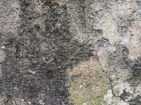 A weathered concrete surface covered with dense moss growth and rough textures.