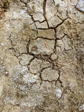 A close-up view of dry, parched earth showing deep cracks and a rough, textured ground surface due to dehydration.