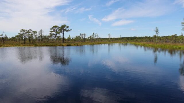 Bog lake reflecting blue sky and clouds in Kemeri Bog area of Kemeri National Park, Latvia