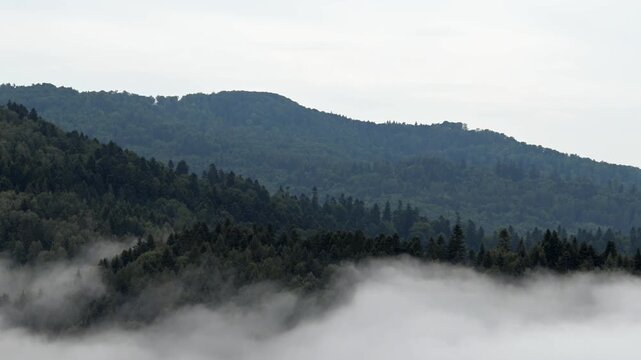 Poranne mgły, Beskid Sądecki, lato, widok g&oacute;rski