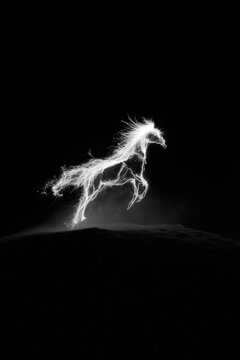 Powerful equine form illuminated by bright, ethereal light against a dark, stark backdrop