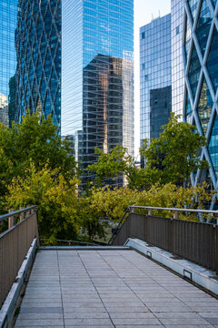 Modern city skyline framed by trees and greenery beyond an urban walkway where skyscraper architecture rises through a strong linear perspective