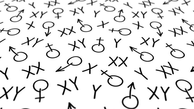 Male and female symbols - background loop