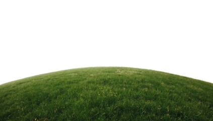 Fototapeta premium Green grassy hill with a clear white background