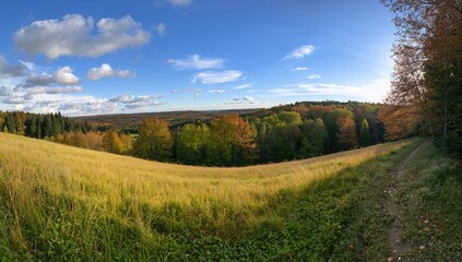 Naklejka premium Panoramic View of Autumn Landscape with Rolling Hills and Colorful Foliage