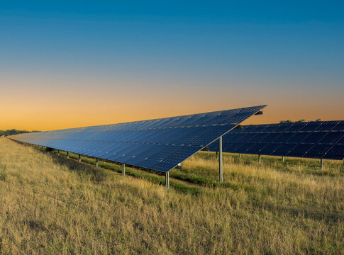 Solar Panels in a Large Solar Farm Field &ndash; Renewable Energy and Sustainable Power Generation Concept