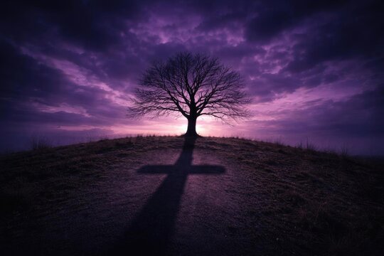 Solitary Tree Casting a Cross Shadow at Dusk Under Purple Clouds