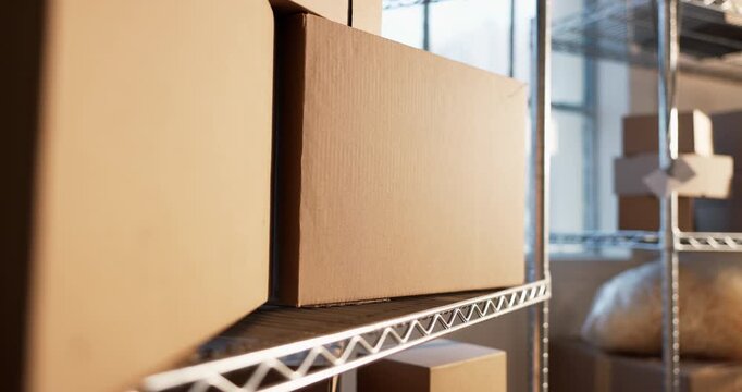 Shelf, boxes and logistics in empty warehouse for shipping, supply chain and ecommerce inventory. Cardboard, package and storage unit in stock room, distribution and small business merchandise