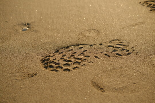 Trekking Boot Sole Tread Imprint in Golden Beach Sand, Outdoor Adventure and Travel Concept