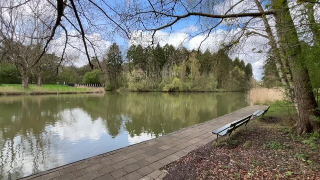 Amsterdan Forest, Quiet park pond with reflective water, empty wooden benches, overhanging branches, calm shoreline and leafy trees beside paved promenade in green urban landscape at soft daylight