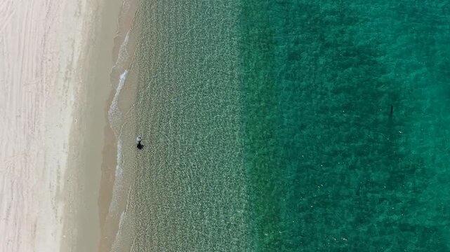 Aerial view of a fly fisherman wading in the clear waters of La Ventana, Baja California Sur.