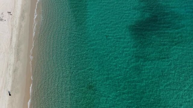 Aerial top down view of fly fisherman walking on beach in La Ventana, Baja California Sur, Mexico.