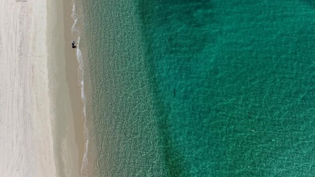 Top down aerial of fly fisherman on sandy beach in La Ventana, Baja California Sur, Mexico.