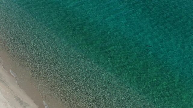 Aerial view of a fly fisherman on the beach casting for rooster fish in La Ventana.