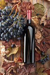 Naklejka premium Bottle of red wine and blue grapes.
